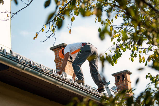Best Roof Gutter Cleaning  in Victoria, VA