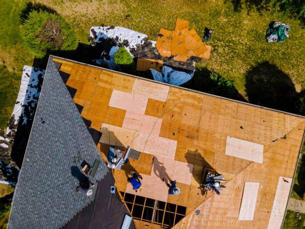 Best Roof Waterproofing Services  in Victoria, VA