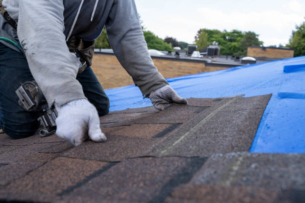 Trusted Victoria, VA Roofing Contractor Experts