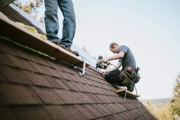 Quick and Trustworthy Emergency Roof Repair Services in Victoria, VA